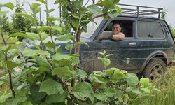 С 18.06.25 вход на отдых в Григорьевские сады станет платный. - Агротуризм в Григорьевских садах