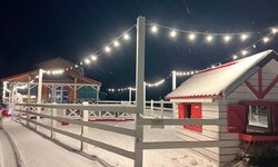 До Нового года 23 дня! - Агротуризм в Григорьевских садах